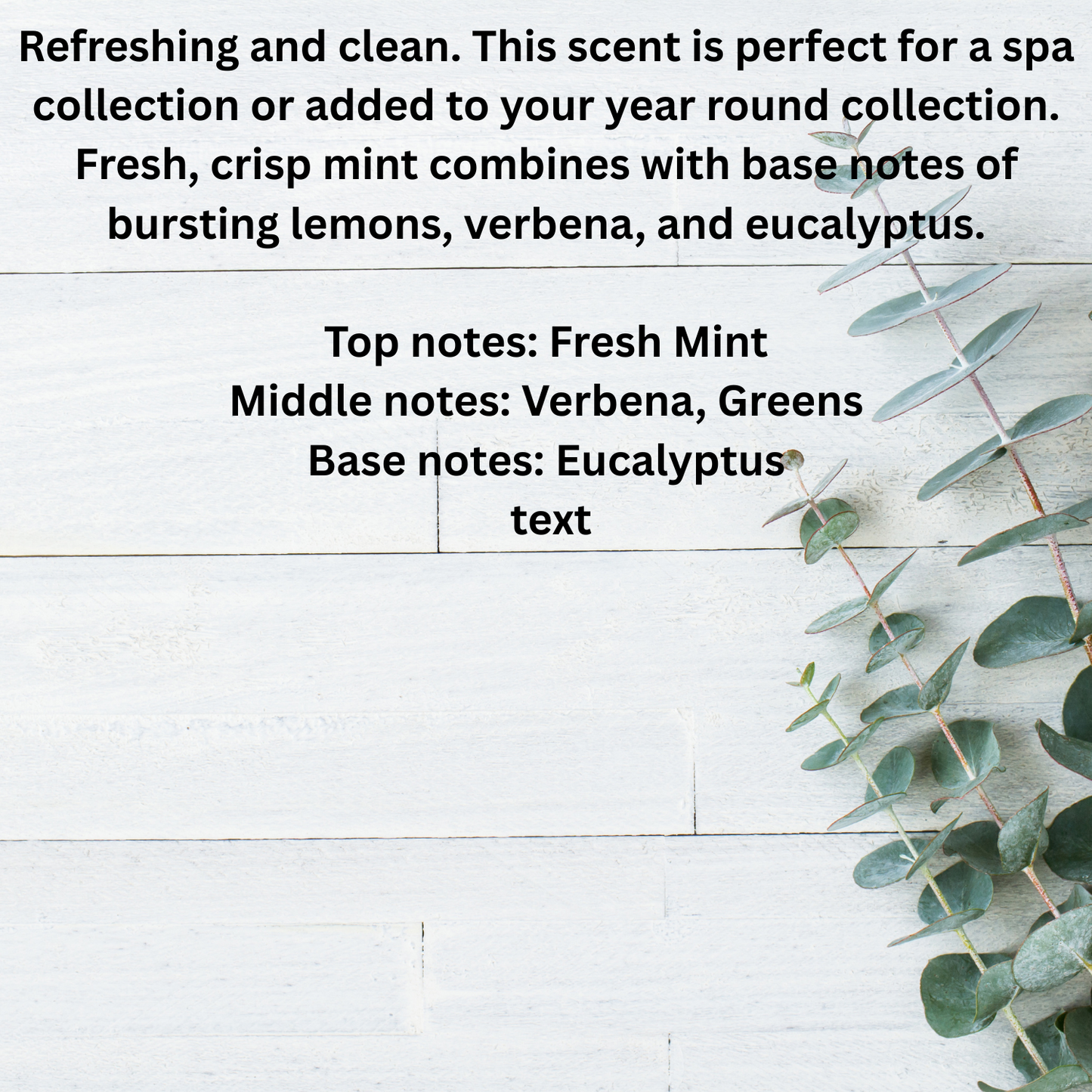 Eucalyptus mint room and linen spray with fresh mint, verbena, and eucalyptus notes on white wooden background with eucalyptus branch.